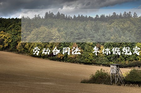 劳动合同法 年休假规定 劳动合同法 年休假规定